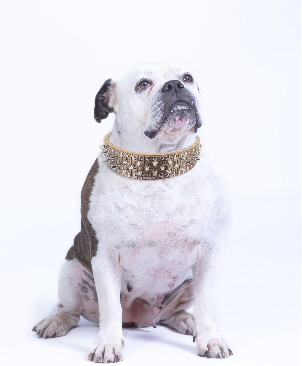Hoot PU Leather Adjustable Spiked Studded Dog Collar 2" Wide 43 Spikes (L(Neck 21"-24"), Black)