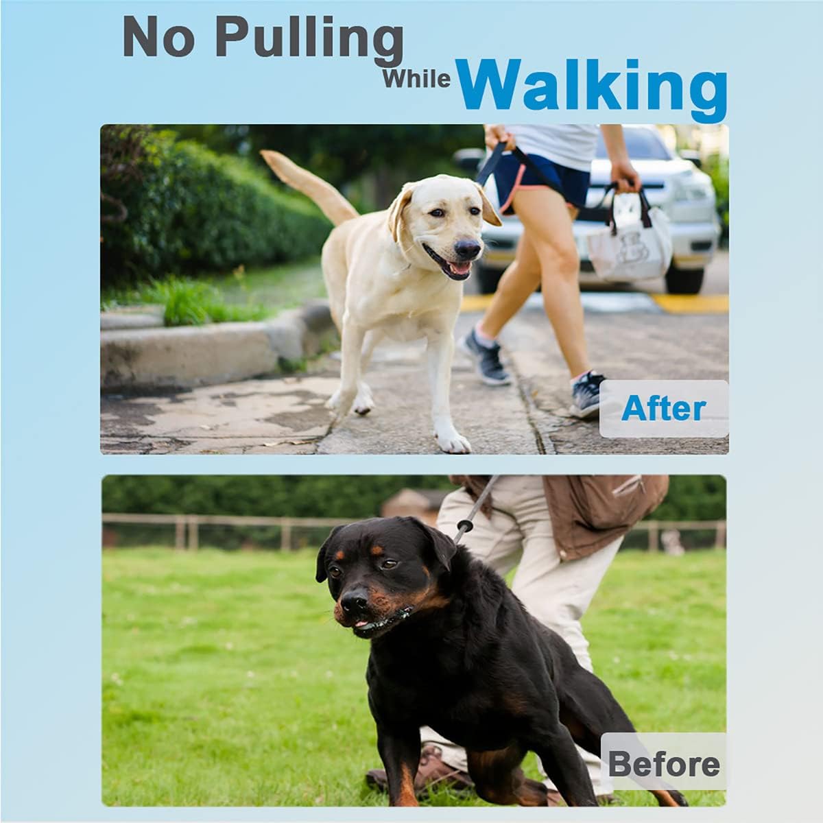 Prong Collar for Dogs, Dog Training Collar, Adjustable Size Dog Pinch No Pull Collar with Quick Release Buckle for Small Medium Large Dogs(Packed with Two Extra Links)